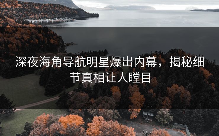 深夜海角导航明星爆出内幕，揭秘细节真相让人瞠目