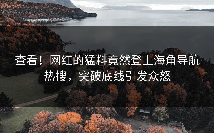 查看！网红的猛料竟然登上海角导航热搜，突破底线引发众怒