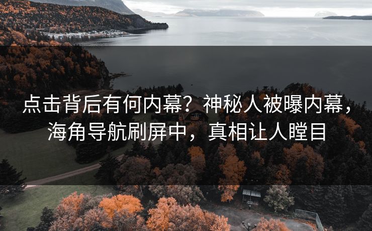 点击背后有何内幕？神秘人被曝内幕，海角导航刷屏中，真相让人瞠目
