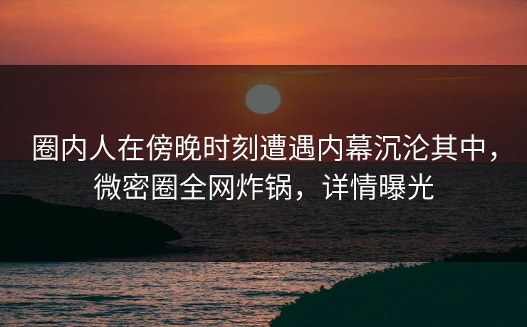 圈内人在傍晚时刻遭遇内幕沉沦其中，微密圈全网炸锅，详情曝光