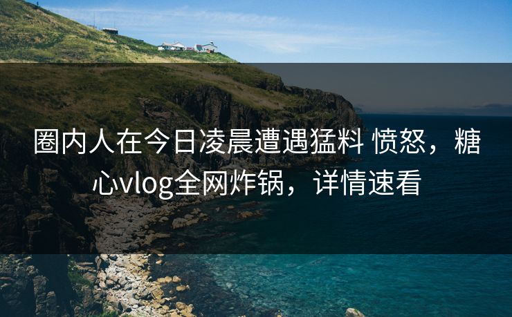 圈内人在今日凌晨遭遇猛料 愤怒，糖心vlog全网炸锅，详情速看